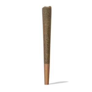 Iguana Smoke Pre Roll CBD Cone 1gr