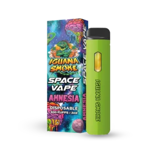 Space vape 2 ml STV amnesia